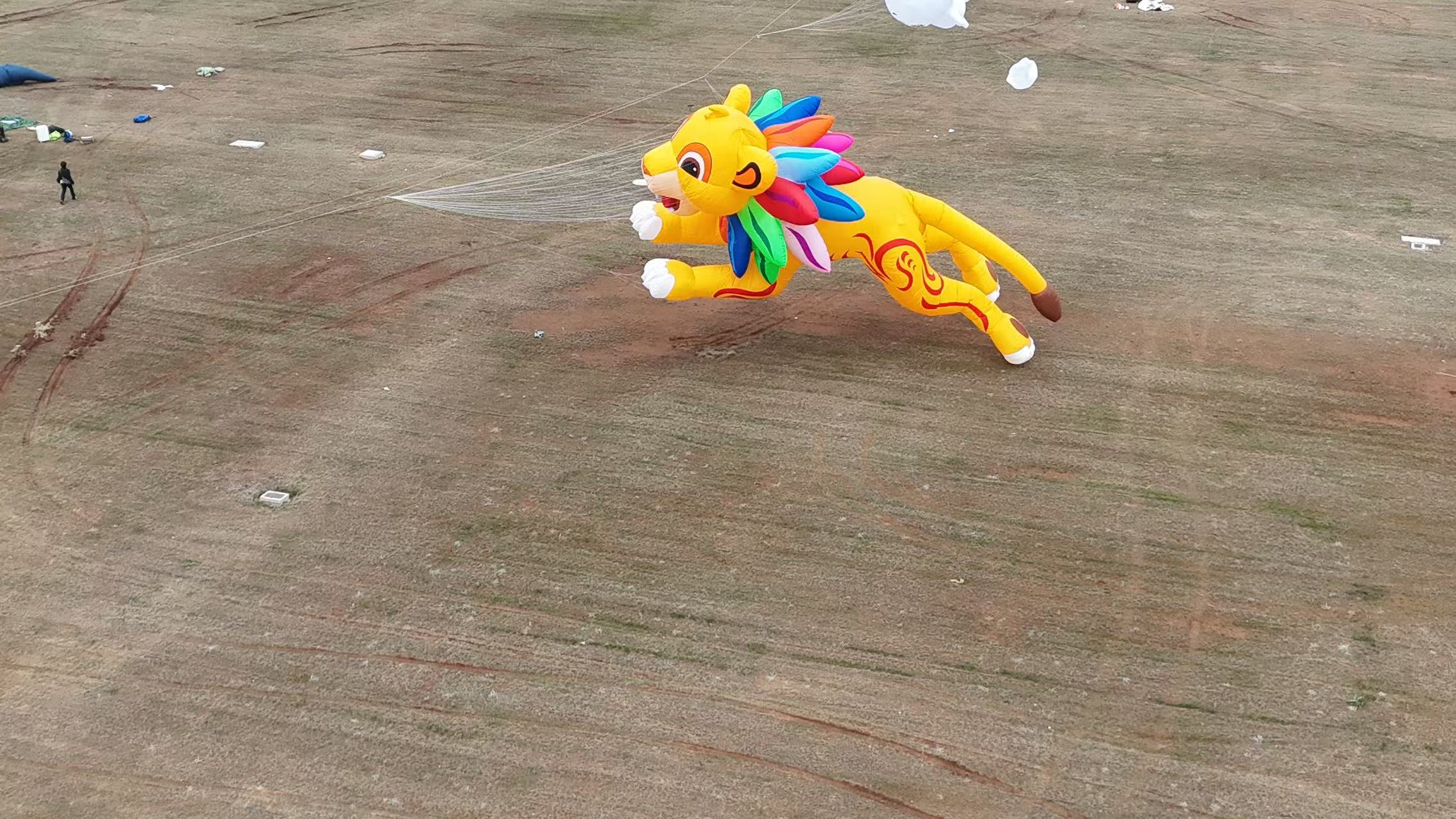 长春市品牌风筝定制风筝定制 - 推荐