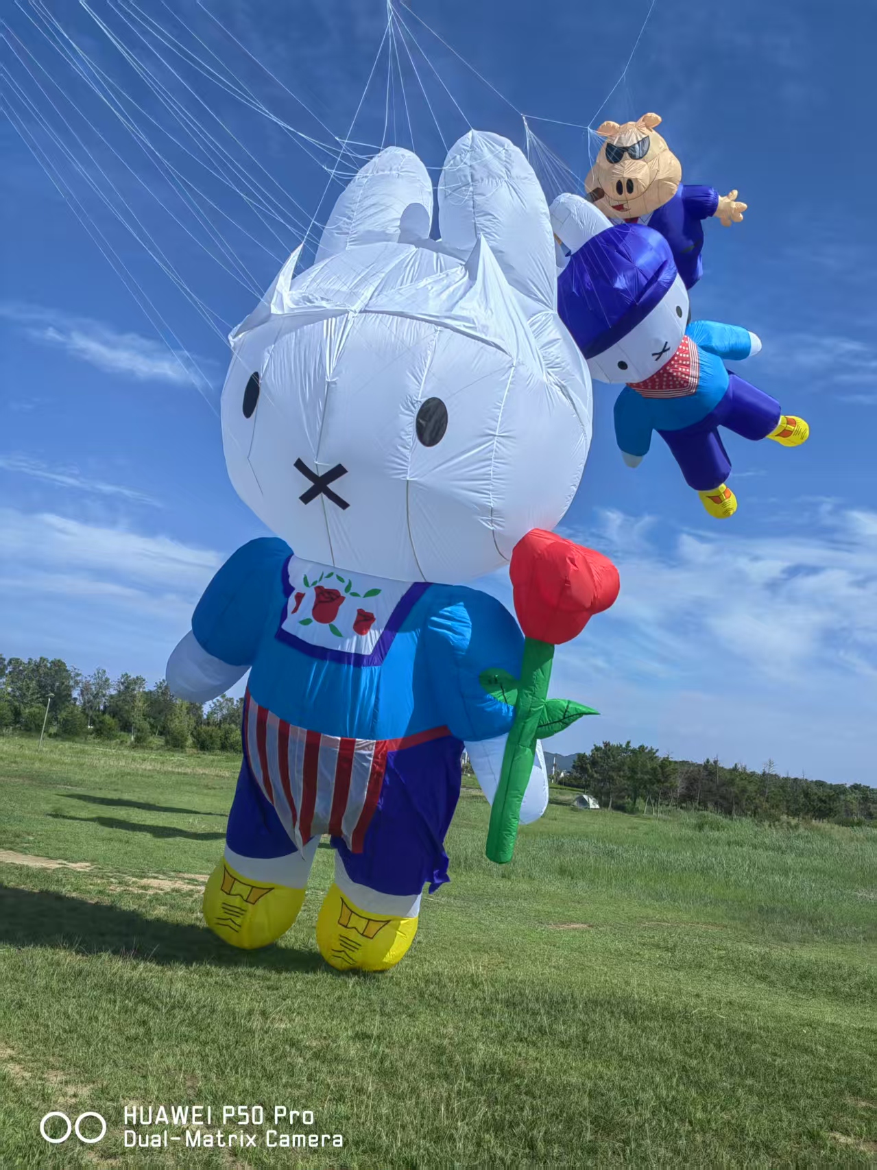 长春市儿童风筝定制风筝定制 - 一站式服务