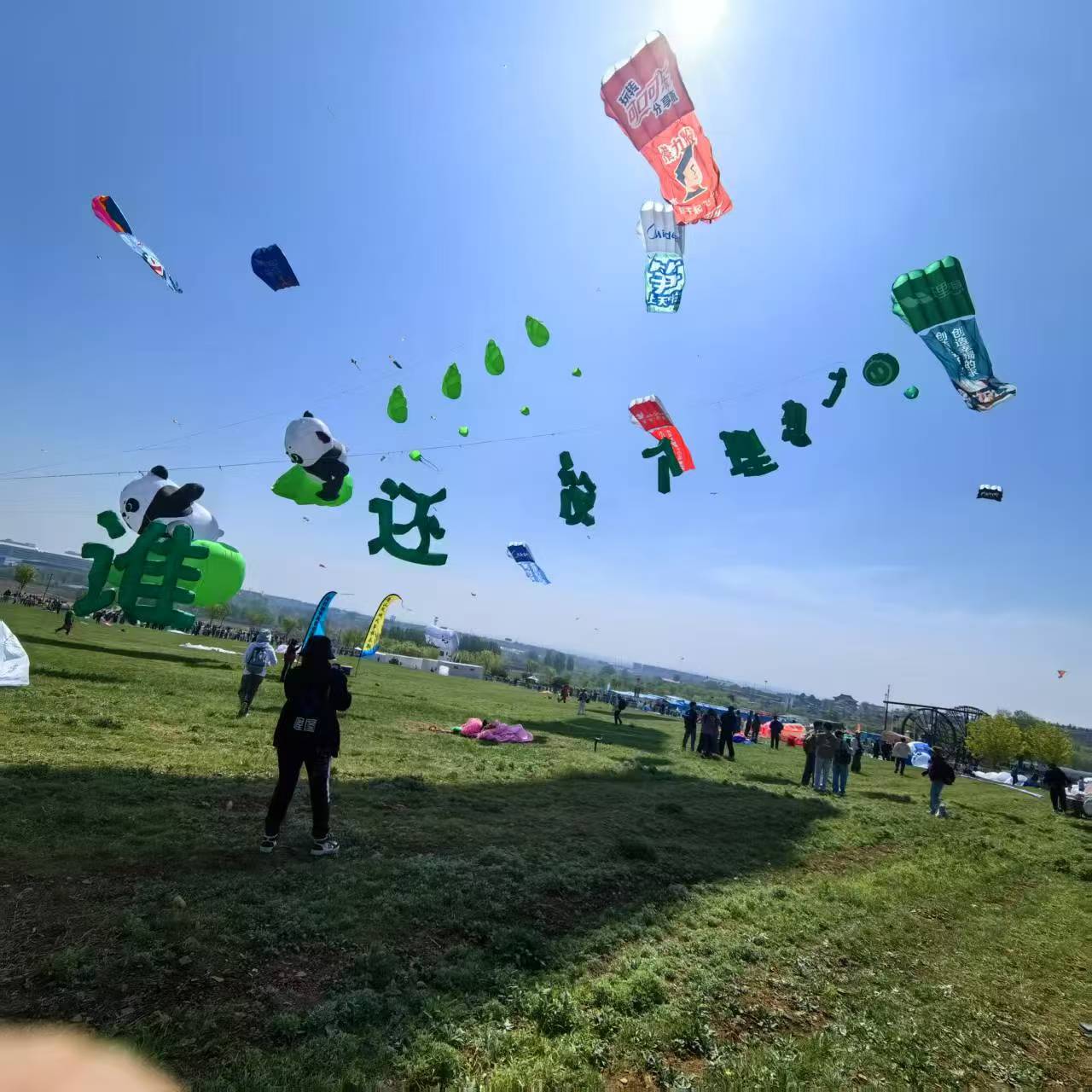 长春市软体风筝定制风筝定制 - 方案